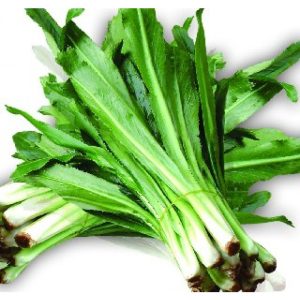 Mùi tàu