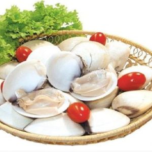 Ngao trắng