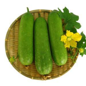 Bí đao