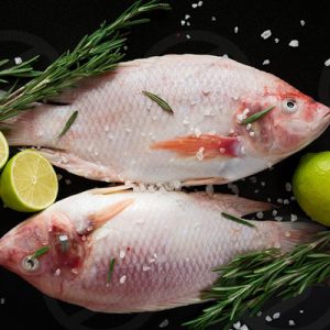Cá diêu hồng 1.0-1.7kg /c làm sạch bỏ đầu