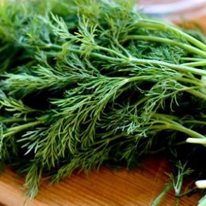 Thì là sơ chế
