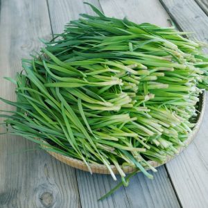 Rau hẹ