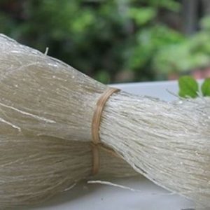 Miến dong