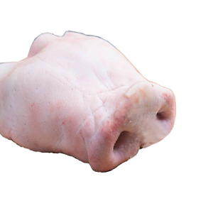 Mũi lợn