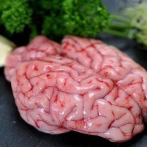 Óc lợn