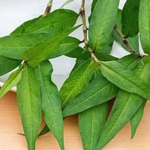 Rau răm sơ chế