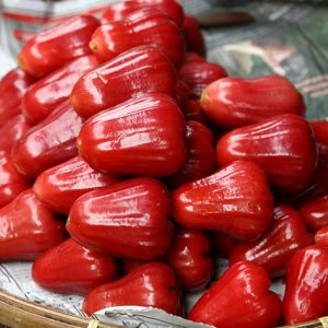 Roi đường