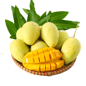 Xoài cát chu
