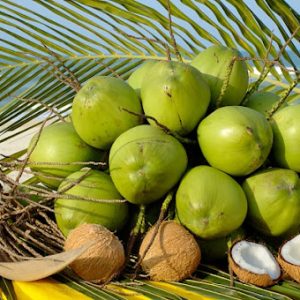 Dừa quả