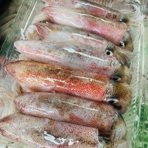 Mực ống 4 con/kg