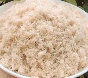 Ruốc