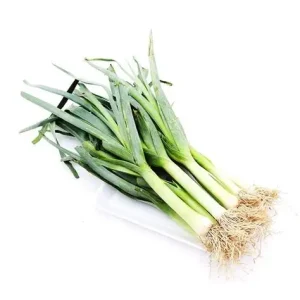 Tỏi tây