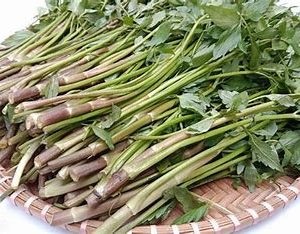 Rau cần